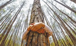 Pope calls for 'global ecological conversion'