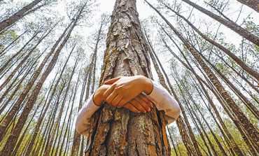 Pope calls for 'global ecological conversion'