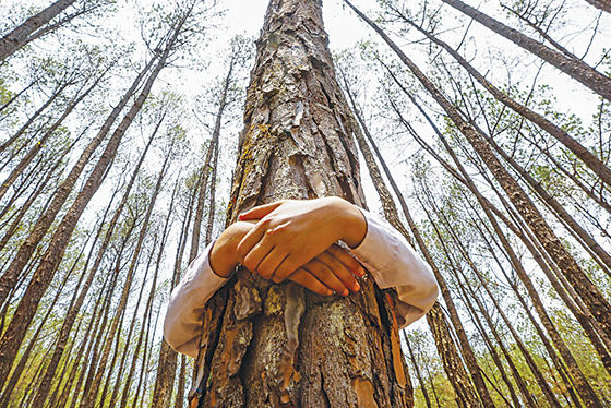 Pope calls for 'global ecological conversion'