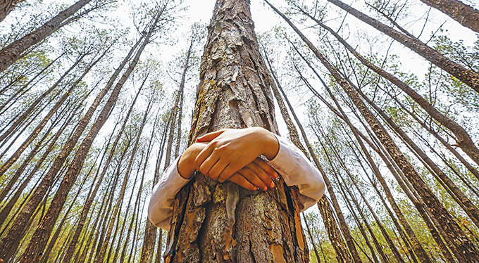 A Nepalese man hugs a tree while celebrating World Environment Day at the forest of Gokarna, on the outskirts of Kathmandu, Nepal, in this 2014 photo. The greatest threats facing humanity are those “that arise from global inequality and the destruction of the environment,” said Cardinal Peter Turkson, president of the Pontifical Council for Justice and Peace. (CNS photo/Narendra Shrestha, EPA) See TURKSON-ECOLOGY and TOMASI-CLIMATE March 6, 2015.