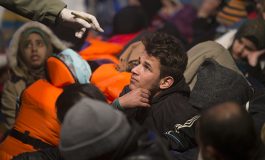 In Peace Day message, pope urges respect for life