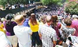 Bishop Farrell: Let us be instruments of peace