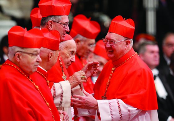 Former Dallas shepherd becomes Cardinal Farrell