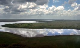 Father Gollob: Take care of all God’s beautiful creations