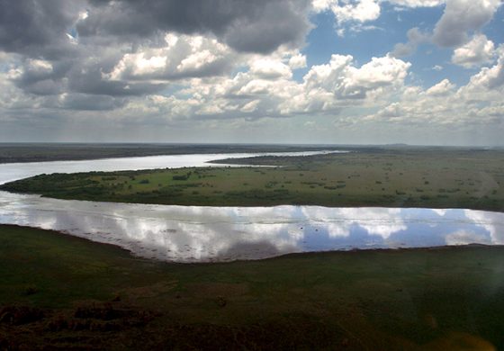Father Gollob: Take care of all God’s beautiful creations