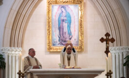 La dulce  mirada que nos cuida, cumple  dos décadas