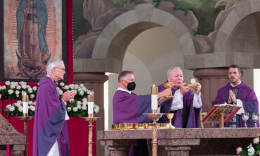 Abrazando la  misión apostólica
