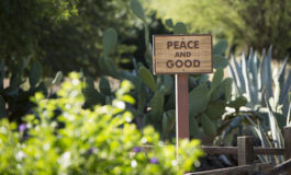 Father Gollob: A little hard work, ingenuity and hope can grow a bountiful crop