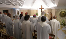 Council of Cardinals expresses 'full solidarity' with pope
