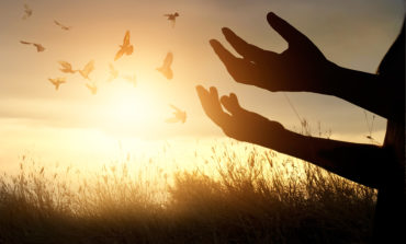 Father Bayer: Transgender