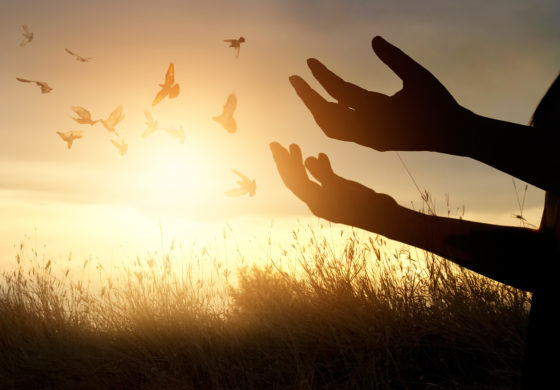 Father Bayer: Mind and Matter