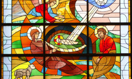 Father Bayer: In Defense of Nature