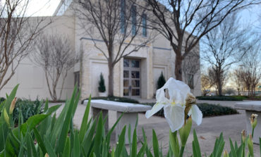 Father Gollob: Our faith blooms anew during this holy season