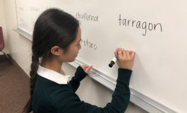 Eighth-grader keeps God first at spelling bees