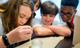 Catholic Schools Week Calendars