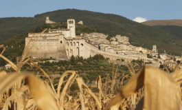 Father Gollob: What are you doing for God's vineyard?