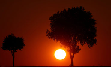 Father Esposito: Compline and the Good Night