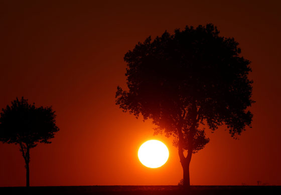 Father Esposito: Compline and the Good Night