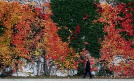Father Esposito: Cyrus and the Lord of History