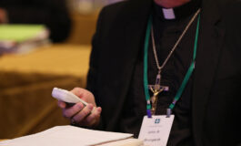In gathering for U.S. bishops like no other, annual meeting goes online