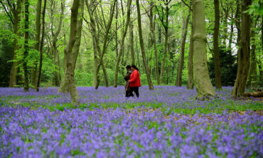 Father Bayer: The way of nature