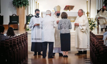 The Synod on Synodality & the Dallas Diocesan Synod: What’s the Difference?