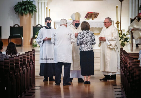 The Synod on Synodality & the Dallas Diocesan Synod: What’s the Difference?