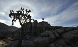 Father Dankasa: Living out our desert experience every day