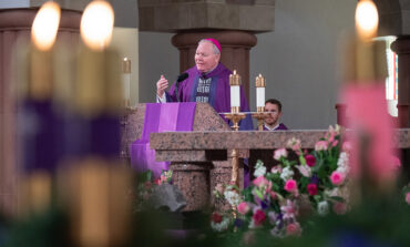 Father Bayer: On synodality and the ‘listening church’