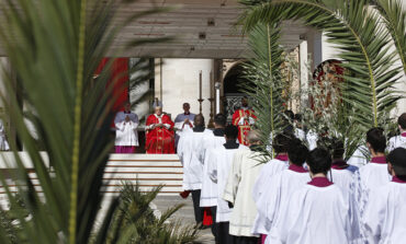 Victory is not raising a flag on pile of rubble, pope says on Palm Sunday