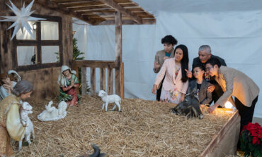 Caminando bajo la sombra y guía de la sagrada familia