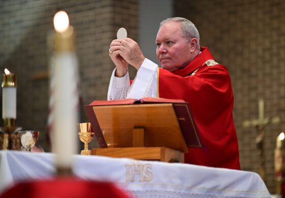 Diocesan Mass to highlight Eucharist on Pentecost