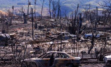 'Miraculous' survival of Maui Catholic church seen as sign of hope amid wildfire destruction