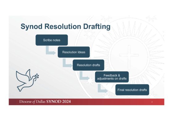 A note from the Chair of the Synod Preparatory Commission