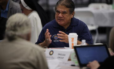 Father Bayer: Lay engagement in the synod and beyond