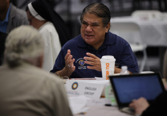 Father Bayer: Lay engagement in the synod and beyond