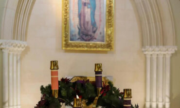 Father Fry: The light shines in the darkness