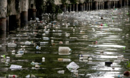 U.S. bishops: COP28 must heed 'cry of the earth' and 'cry of the poor'