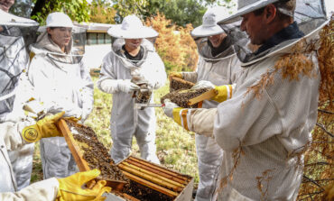 A campus abuzz: Bees arrive at Cistercian Preparatory School