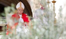 On Palm Sunday, pope prays people open hearts to God, quell all hatred