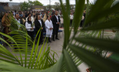 Celebrating Holy Week 2024 in the Diocese of Dallas